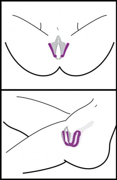 Oral Enhancing Hands Free Labia Spreader - Image 5